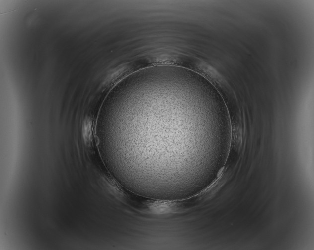 X0000085740142200703231118