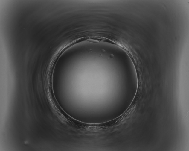 X0000085740145200703231117