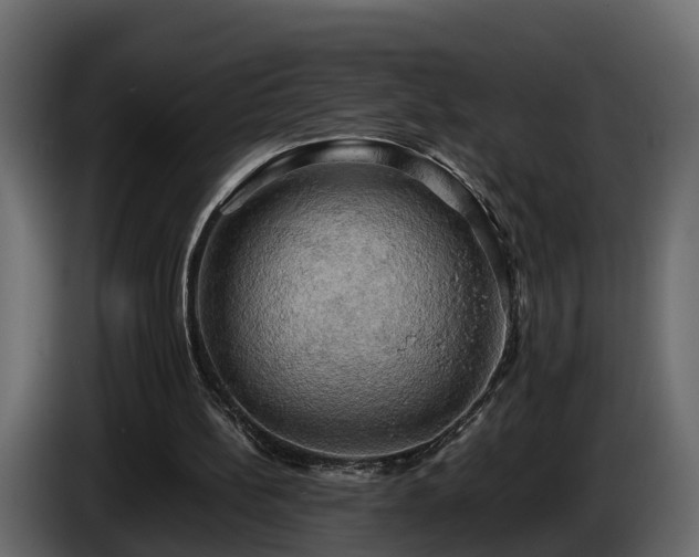 X0000085740148200703231117