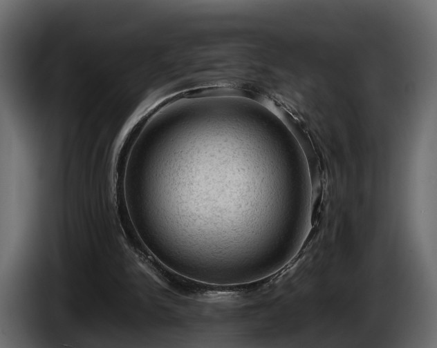 X0000085740150200703231117