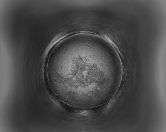X0000085740151200703231117