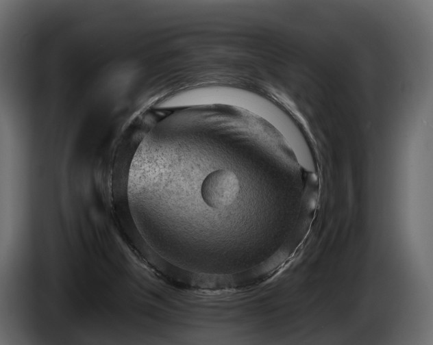 X0000085740154200703231117