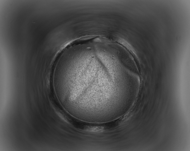 X0000085740155200703231117