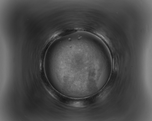 X0000085740157200703231118
