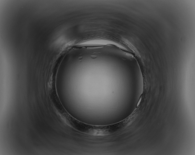 X0000085740163200703231118