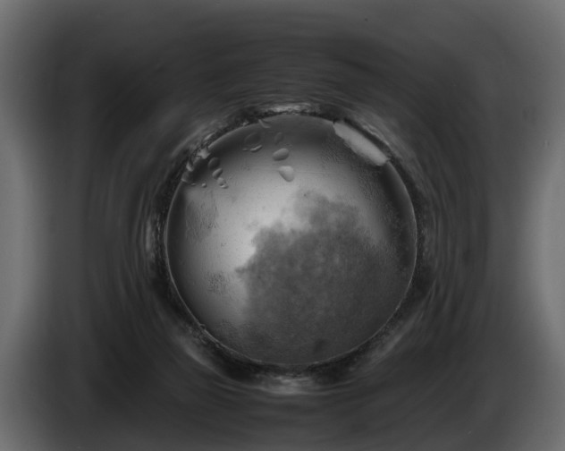 X0000085740165200703231118