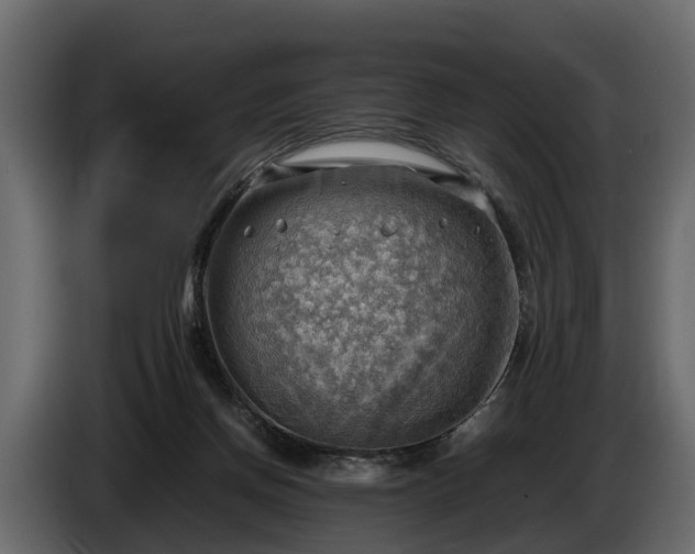 X0000085740166200703231118