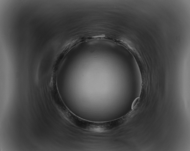 X0000085740167200703231118