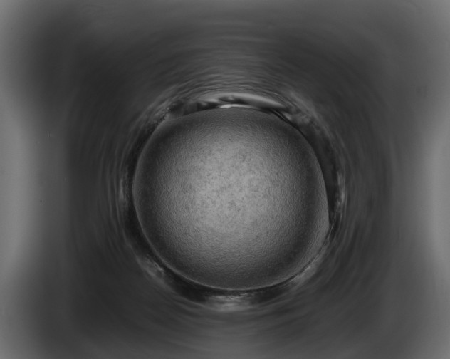 X0000085740170200703231118