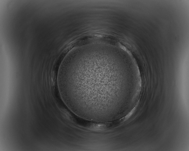 X0000085740174200703231118