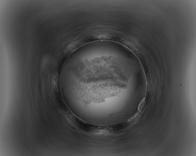 X0000085740175200703231118