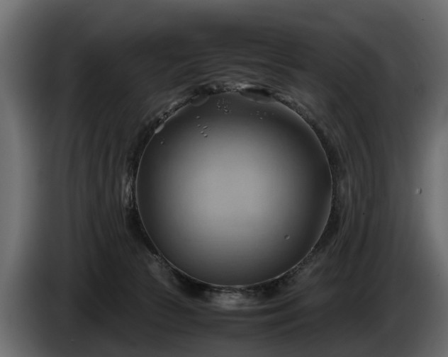 X0000085740177200703231118