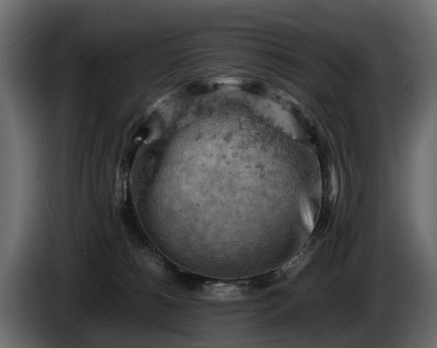X0000085740180200703231118