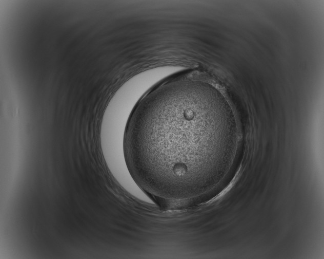 X0000085740186200703231118