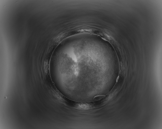 X0000085740189200703231118