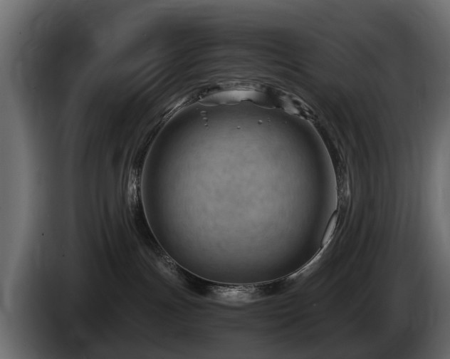 X0000085740191200703231118