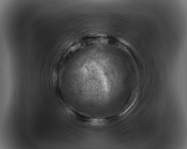 X0000085740192200703231118