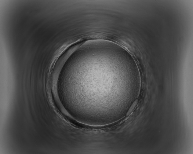 X0000085740193200703231117