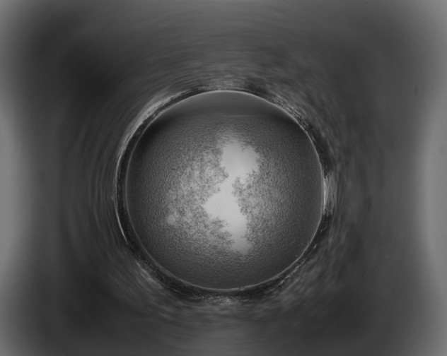 X0000085740195200703231117