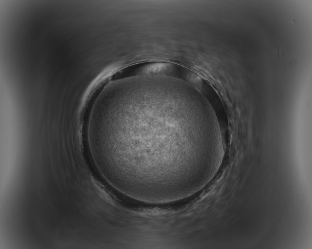 X0000085740197200703231117