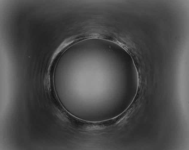 X0000085740198200703231117