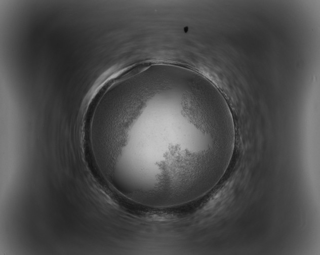 X0000085740199200703231117