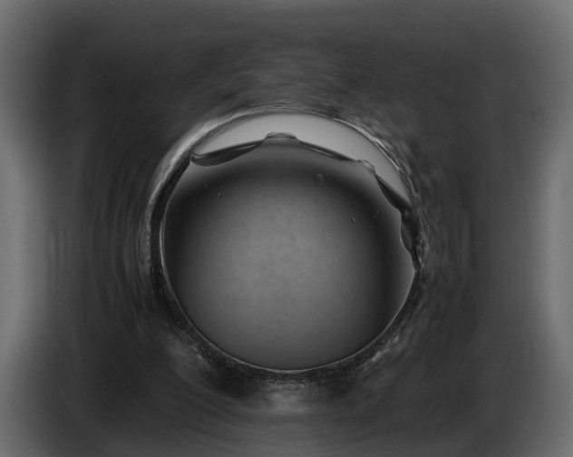 X0000085740200200703231117