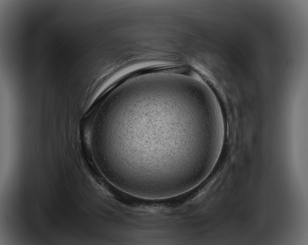 X0000085740201200703231117