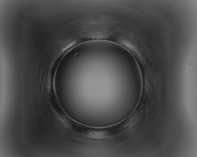 X0000085740202200703231117