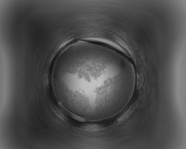 X0000085740203200703231117