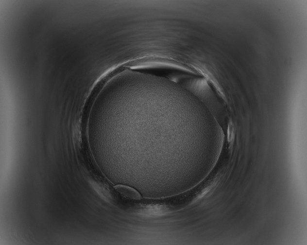X0000085740204200703231117