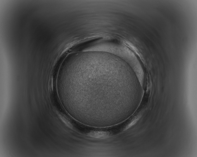 X0000085740205200703231117