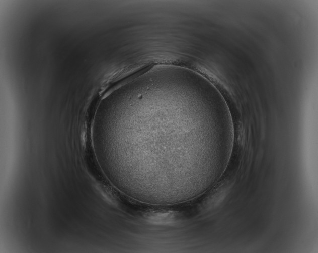X0000085740206200703231117