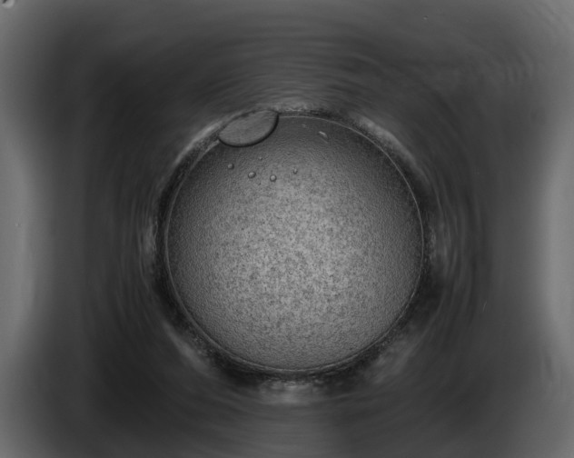 X0000085740208200703231117