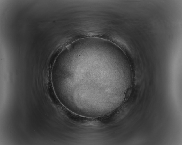 X0000085740210200703231117