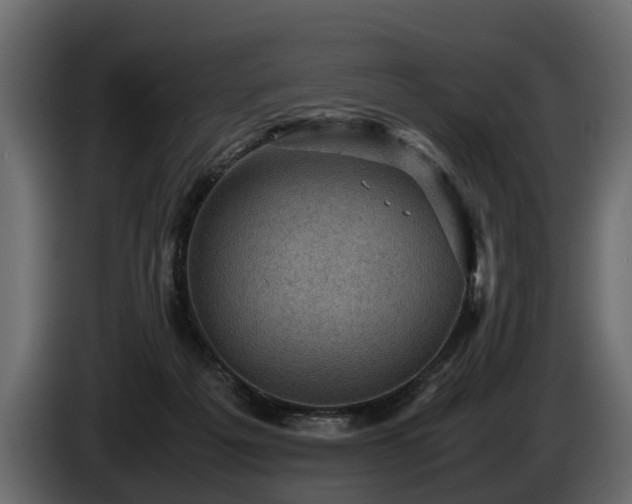 X0000085740217200703231117