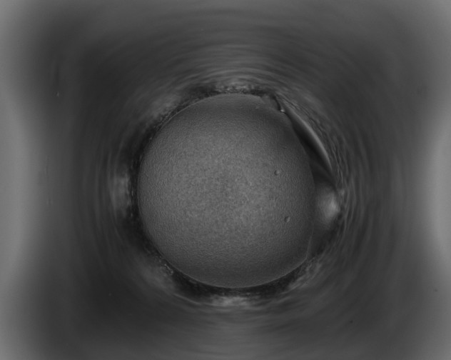 X0000085740224200703231117