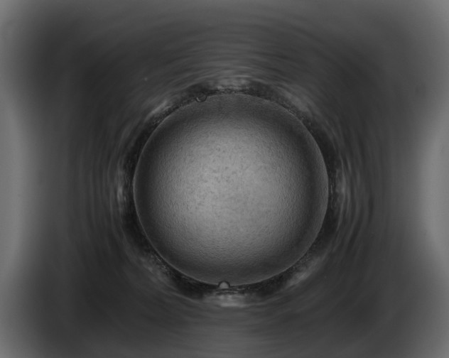 X0000085740228200703231117