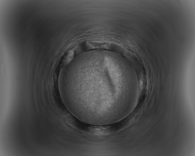 X0000085740229200703231117