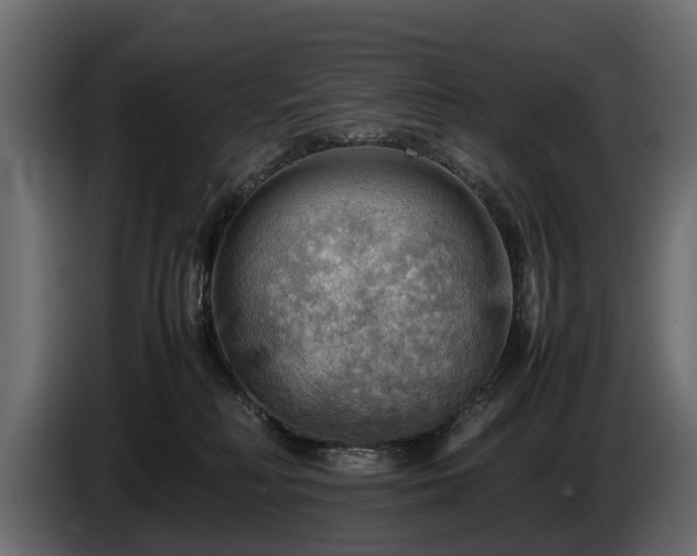 X0000085740230200703231117