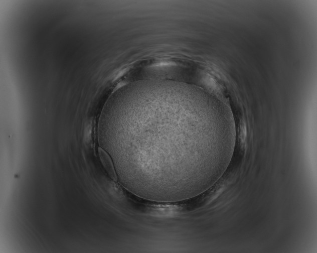 X0000085740233200703231117