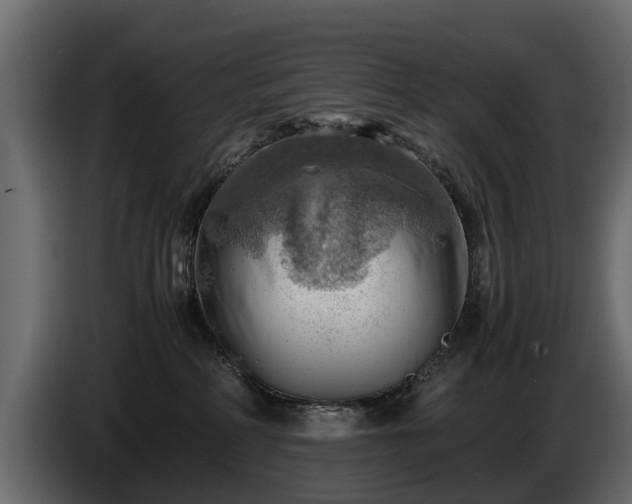 X0000085740234200703231117