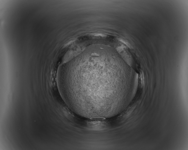 X0000085740237200703231117