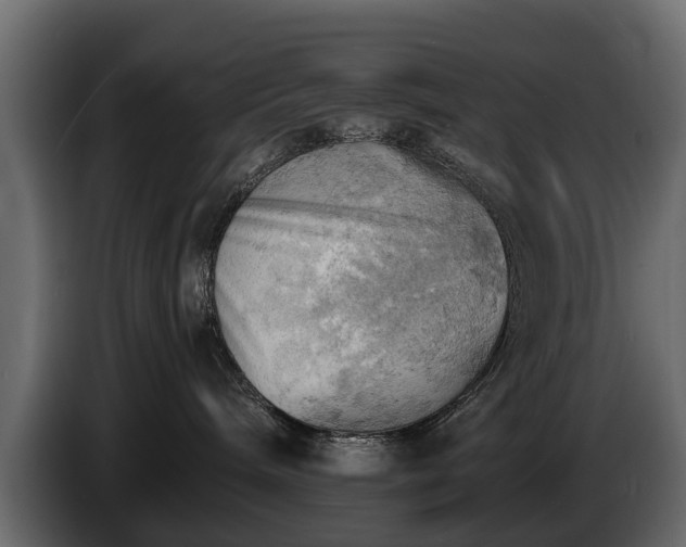 X0000085740240200703231117