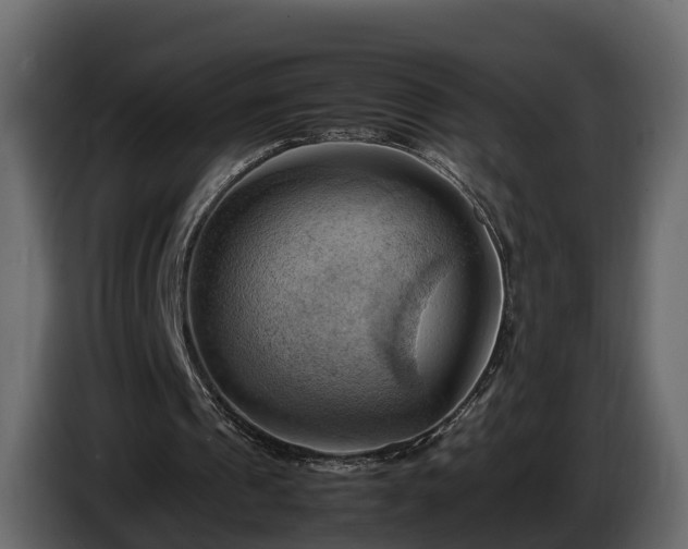 X0000085740241200703231116