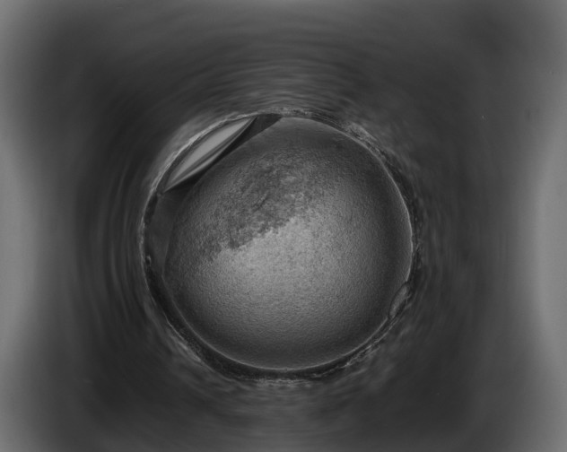 X0000085740242200703231116