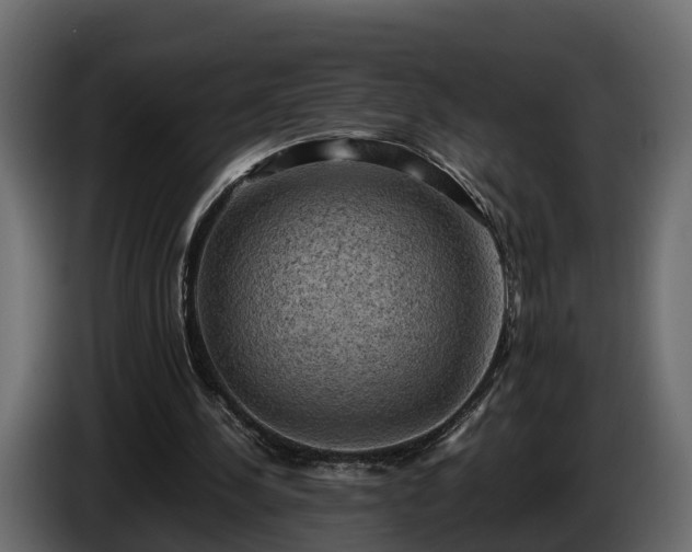 X0000085740244200703231116