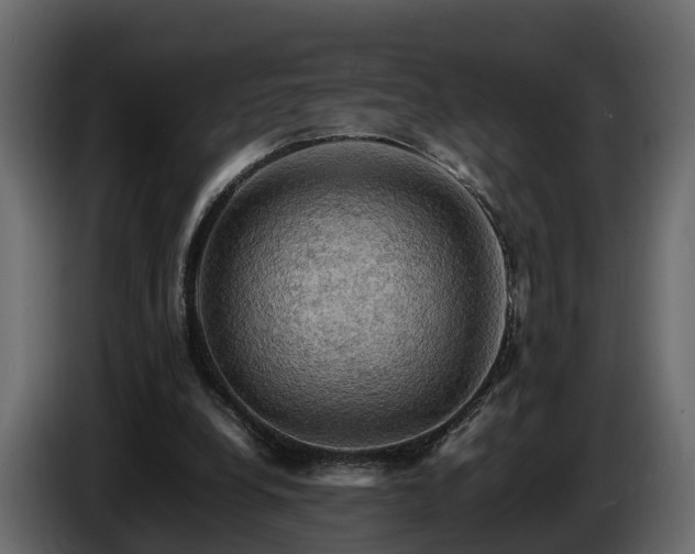 X0000085740248200703231116