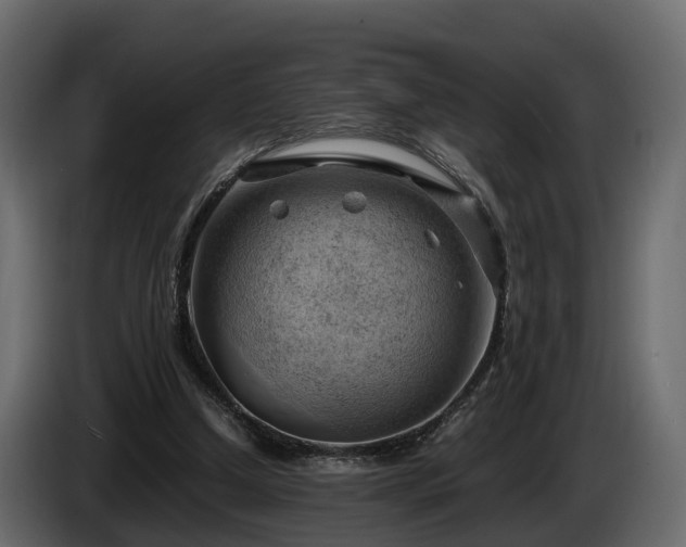X0000085740250200703231116