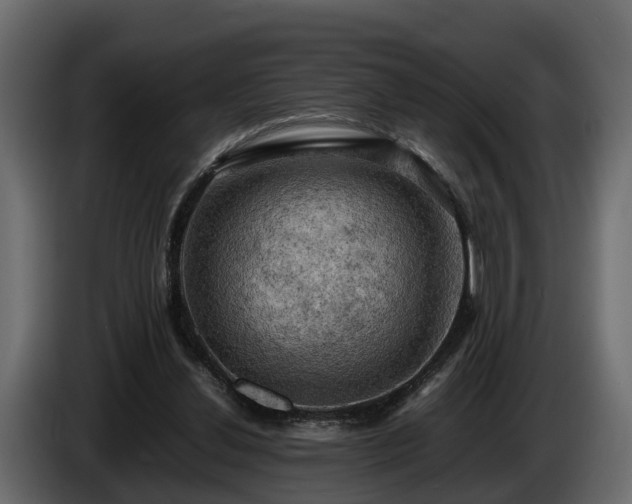 X0000085740252200703231116
